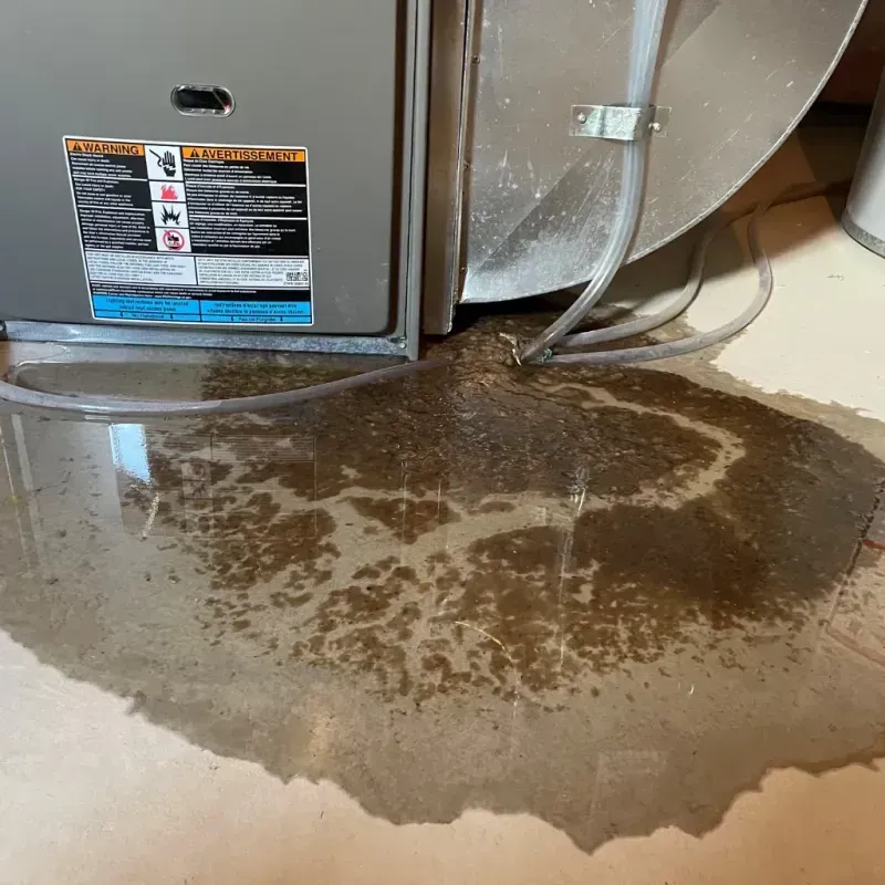 Appliance Leak Cleanup in Washington, WV